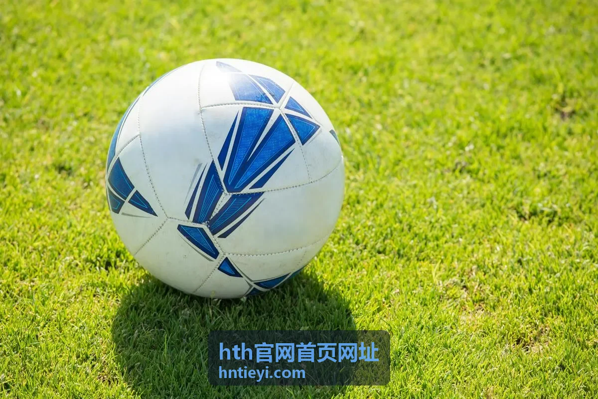 hth官网首页网址专属内容预览主题封面